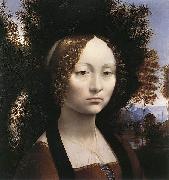 Leonardo  Da Vinci Portrait of Ginevra de' Benci painting